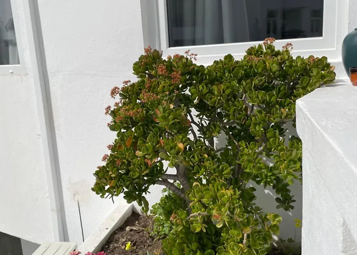 Apartament Varanda O Mar Albufeira