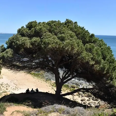 Varanda O Mar